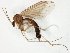  ( - TSZD-JKJ-106644)  @11 [ ] CreativeCommons - Attribution Non-Commercial Share-Alike (2019) Unspecified Tromsø University Museum