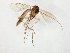  ( - TSZD-JKJ-106658)  @11 [ ] CreativeCommons - Attribution Non-Commercial Share-Alike (2019) Unspecified Tromsø University Museum