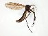  ( - TSZD-JKJ-106659)  @11 [ ] CreativeCommons - Attribution Non-Commercial Share-Alike (2019) Unspecified Tromsø University Museum