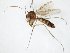  ( - TSZD-JKJ-106662)  @12 [ ] CreativeCommons - Attribution Non-Commercial Share-Alike (2019) Unspecified Tromsø University Museum