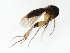  ( - TSZD-JKJ-106668)  @11 [ ] CreativeCommons - Attribution Non-Commercial Share-Alike (2019) Unspecified Tromsø University Museum