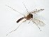  ( - TSZD-JKJ-106672)  @11 [ ] CreativeCommons - Attribution Non-Commercial Share-Alike (2019) Unspecified Tromsø University Museum