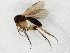  ( - TSZD-JKJ-106693)  @11 [ ] CreativeCommons - Attribution Non-Commercial Share-Alike (2019) Unspecified Tromsø University Museum