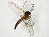  ( - TSZD-JKJ-106697)  @11 [ ] CreativeCommons - Attribution Non-Commercial Share-Alike (2019) Unspecified Tromsø University Museum