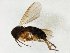  ( - TSZD-JKJ-107512)  @11 [ ] CreativeCommons - Attribution Non-Commercial Share-Alike (2019) Unspecified Tromsø University Museum