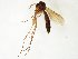  ( - TSZD-JKJ-107529)  @11 [ ] CreativeCommons - Attribution Non-Commercial Share-Alike (2019) Unspecified Tromsø University Museum