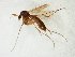 ( - TSZD-JKJ-107531)  @11 [ ] CreativeCommons - Attribution Non-Commercial Share-Alike (2019) Unspecified Tromsø University Museum