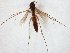  ( - TSZD-JKJ-107532)  @11 [ ] CreativeCommons - Attribution Non-Commercial Share-Alike (2019) Unspecified Tromsø University Museum