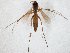  ( - TSZD-JKJ-107532)  @11 [ ] CreativeCommons - Attribution Non-Commercial Share-Alike (2019) Unspecified Tromsø University Museum