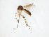  ( - TSZD-JKJ-107536)  @11 [ ] CreativeCommons - Attribution Non-Commercial Share-Alike (2019) Unspecified Tromsø University Museum