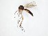  ( - TSZD-JKJ-107540)  @12 [ ] CreativeCommons - Attribution Non-Commercial Share-Alike (2019) Unspecified Tromsø University Museum