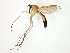  ( - TSZD-JKJ-107559)  @11 [ ] CreativeCommons - Attribution Non-Commercial Share-Alike (2019) Unspecified Tromsø University Museum