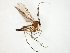  ( - TSZD-JKJ-107592)  @11 [ ] CreativeCommons - Attribution Non-Commercial Share-Alike (2019) Unspecified Tromsø University Museum