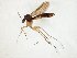  ( - TSZD-JKJ-107599)  @11 [ ] CreativeCommons - Attribution Non-Commercial Share-Alike (2019) Unspecified Tromsø University Museum