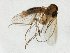  (Phronia JKJ-spJ - TSZD-JKJ-107600)  @11 [ ] CreativeCommons - Attribution Non-Commercial Share-Alike (2019) Unspecified Tromsø University Museum