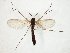  ( - TSZD-JKJ-107601)  @11 [ ] CreativeCommons - Attribution Non-Commercial Share-Alike (2019) Unspecified Tromsø University Museum
