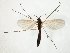 ( - TSZD-JKJ-107601)  @11 [ ] CreativeCommons - Attribution Non-Commercial Share-Alike (2019) Unspecified Tromsø University Museum
