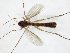  ( - TSZD-JKJ-107609)  @11 [ ] CreativeCommons - Attribution Non-Commercial Share-Alike (2019) Unspecified Tromsø University Museum