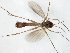  ( - TSZD-JKJ-107609)  @11 [ ] CreativeCommons - Attribution Non-Commercial Share-Alike (2019) Unspecified Tromsø University Museum
