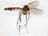  ( - TSZD-JKJ-107634)  @11 [ ] CreativeCommons - Attribution Non-Commercial Share-Alike (2019) Unspecified Tromsø University Museum