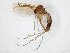  ( - TSZD-JKJ-107641)  @11 [ ] CreativeCommons - Attribution Non-Commercial Share-Alike (2019) Unspecified Tromsø University Museum