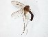  ( - TSZD-JKJ-107651)  @11 [ ] CreativeCommons - Attribution Non-Commercial Share-Alike (2019) Unspecified Tromsø University Museum