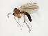  (Trichonta JKJ-spC - TSZD-JKJ-107652)  @11 [ ] CreativeCommons - Attribution Non-Commercial Share-Alike (2019) Unspecified Tromsø University Museum