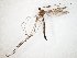  ( - TSZD-JKJ-107656)  @11 [ ] CreativeCommons - Attribution Non-Commercial Share-Alike (2019) Unspecified Tromsø University Museum