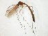  ( - TSZD-JKJ-107659)  @13 [ ] CreativeCommons - Attribution Non-Commercial Share-Alike (2019) Unspecified Tromsø University Museum