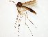  ( - TSZD-JKJ-107669)  @11 [ ] CreativeCommons - Attribution Non-Commercial Share-Alike (2019) Unspecified Tromsø University Museum