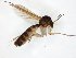 ( - TSZD-JKJ-107670)  @11 [ ] CreativeCommons - Attribution Non-Commercial Share-Alike (2019) Unspecified Tromsø University Museum
