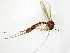  ( - TSZD-JKJ-107677)  @11 [ ] CreativeCommons - Attribution Non-Commercial Share-Alike (2019) Unspecified Tromsø University Museum