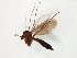 ( - TSZD-JKJ-107682)  @11 [ ] CreativeCommons - Attribution Non-Commercial Share-Alike (2019) Unspecified Tromsø University Museum