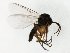  ( - TSZD-JKJ-107686)  @12 [ ] CreativeCommons - Attribution Non-Commercial Share-Alike (2019) Unspecified Tromsø University Museum