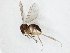  ( - TSZD-JKJ-107785)  @11 [ ] CreativeCommons - Attribution Non-Commercial Share-Alike (2019) Unspecified Tromsø University Museum