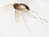  ( - TSZD-JKJ-107789)  @11 [ ] CreativeCommons - Attribution Non-Commercial Share-Alike (2019) Unspecified Tromsø University Museum