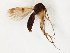  ( - TSZD-JKJ-107790)  @12 [ ] CreativeCommons - Attribution Non-Commercial Share-Alike (2019) Unspecified Tromsø University Museum