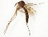  ( - TSZD-JKJ-107796)  @11 [ ] CreativeCommons - Attribution Non-Commercial Share-Alike (2019) Unspecified Tromsø University Museum