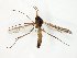  ( - TSZD-JKJ-107797)  @11 [ ] CreativeCommons - Attribution Non-Commercial Share-Alike (2019) Unspecified Tromsø University Museum