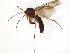  ( - TSZD-JKJ-107798)  @11 [ ] CreativeCommons - Attribution Non-Commercial Share-Alike (2019) Unspecified Tromsø University Museum