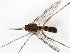  ( - TSZD-JKJ-107801)  @11 [ ] CreativeCommons - Attribution Non-Commercial Share-Alike (2019) Unspecified Tromsø University Museum