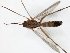  ( - TSZD-JKJ-107801)  @11 [ ] CreativeCommons - Attribution Non-Commercial Share-Alike (2019) Unspecified Tromsø University Museum
