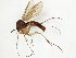 ( - TSZD-JKJ-107819)  @13 [ ] CreativeCommons - Attribution Non-Commercial Share-Alike (2019) Unspecified Tromsø University Museum