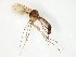  ( - TSZD-JKJ-107820)  @13 [ ] CreativeCommons - Attribution Non-Commercial Share-Alike (2019) Unspecified Tromsø University Museum