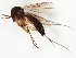  ( - TSZD-JKJ-107824)  @13 [ ] CreativeCommons - Attribution Non-Commercial Share-Alike (2019) Unspecified Tromsø University Museum