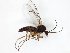  ( - TSZD-JKJ-107830)  @11 [ ] CreativeCommons - Attribution Non-Commercial Share-Alike (2019) Unspecified Tromsø University Museum