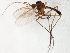  ( - TSZD-JKJ-107833)  @11 [ ] CreativeCommons - Attribution Non-Commercial Share-Alike (2019) Unspecified Tromsø University Museum