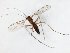  ( - TSZD-JKJ-107834)  @11 [ ] CreativeCommons - Attribution Non-Commercial Share-Alike (2019) Unspecified Tromsø University Museum