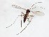  ( - TSZD-JKJ-107834)  @11 [ ] CreativeCommons - Attribution Non-Commercial Share-Alike (2019) Unspecified Tromsø University Museum