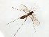  ( - TSZD-JKJ-107836)  @11 [ ] CreativeCommons - Attribution Non-Commercial Share-Alike (2019) Unspecified Tromsø University Museum